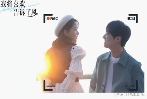 我将喜欢告诉了风,随风而去的秘密情愫