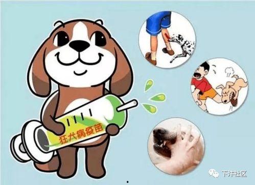 狂犬病 2021,2021年狂犬病疫情回顾与防控策略分析  第2张